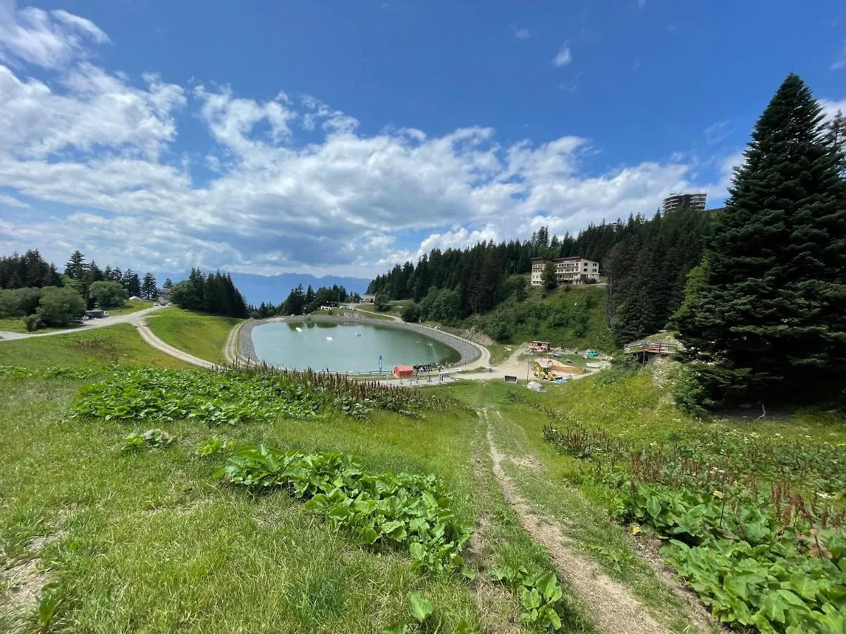 Apartamento Charmant Appartement Confortable Pour 6 Personnes 40M2 Pied Pistes, Piscine, Wifi, Parking Chamrousse França
